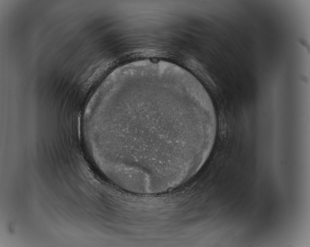 X0000100500014200807031951