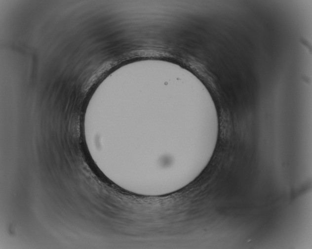 X0000100500015200807031951