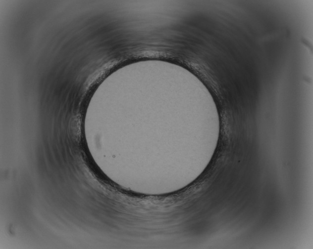 X0000100500016200807031951