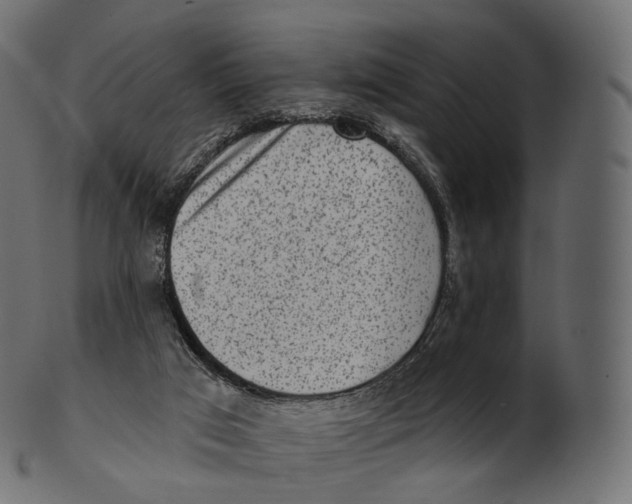 X0000100500017200807031951