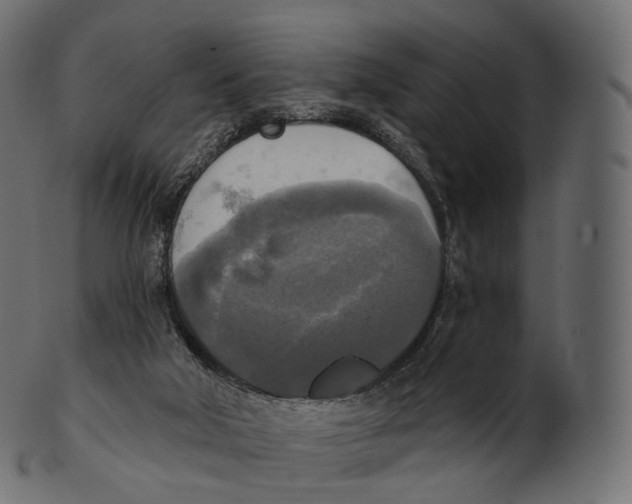 X0000100500018200807031951