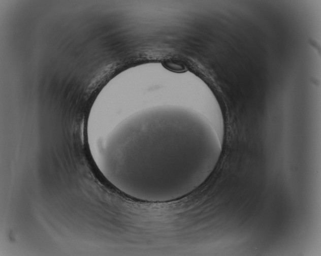 X0000100500019200807031951