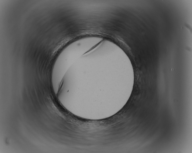 X0000100500020200807031951