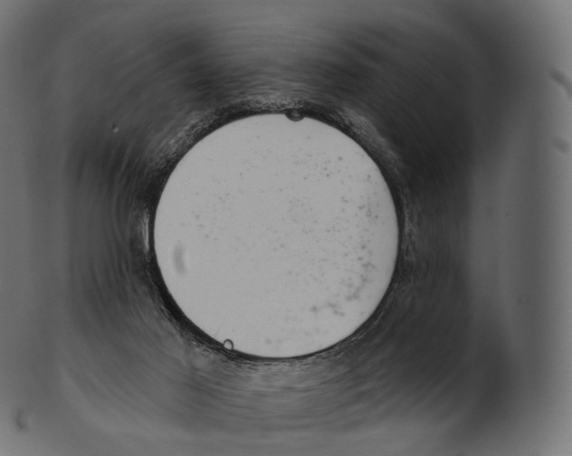 X0000100500021200807031951