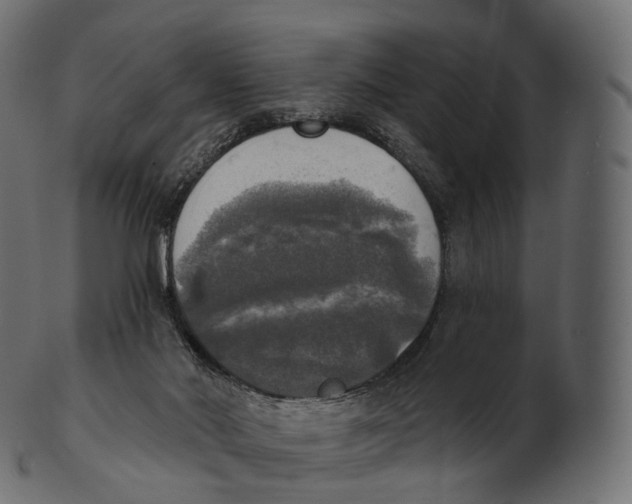 X0000100500022200807031951