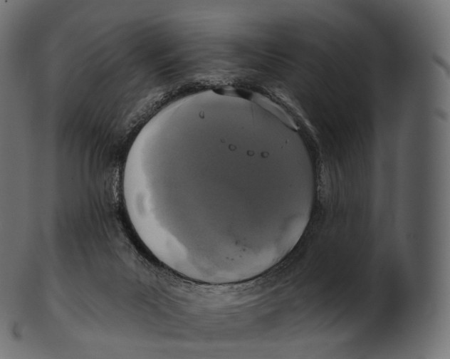 X0000100500023200807031951