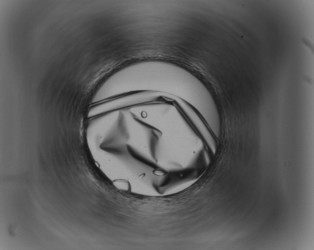 X0000100500024200807031951