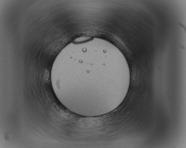 X0000100500025200807031951