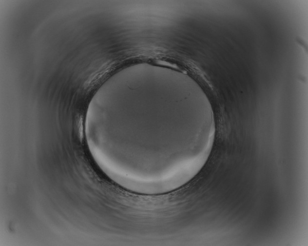 X0000100500027200807031951