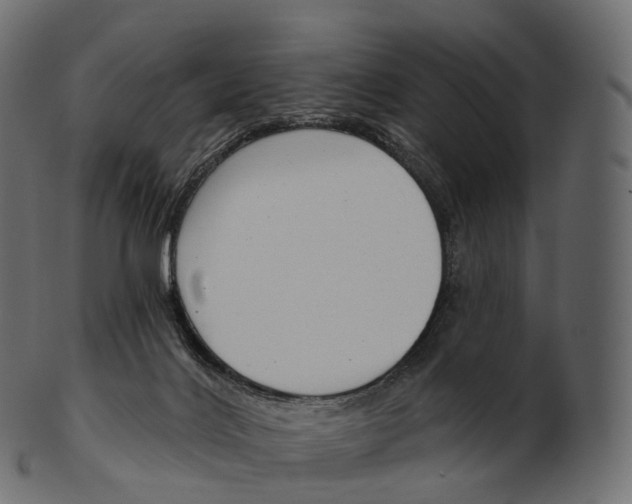 X0000100500028200807031951