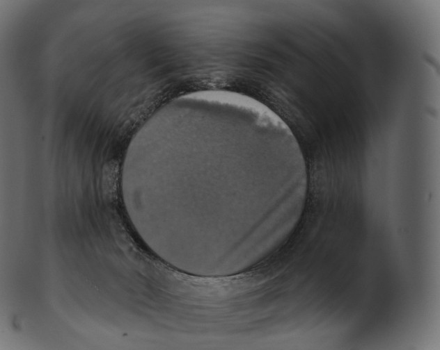 X0000100500030200807031951