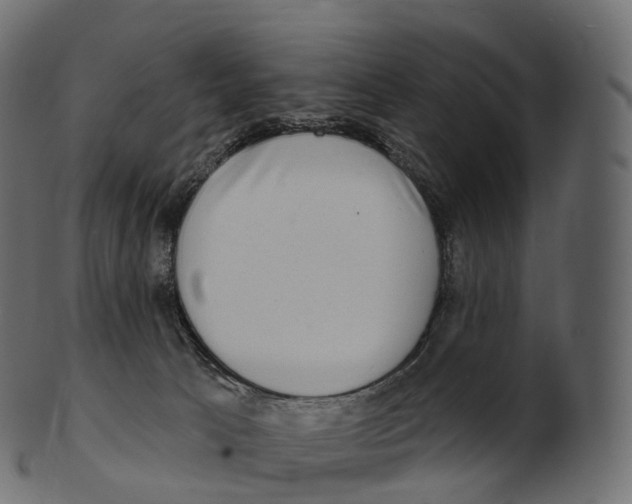 X0000100500033200807031951