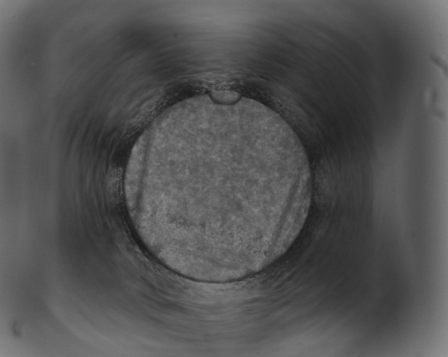 X0000100500034200807031951