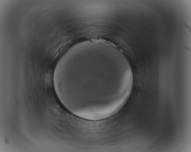 X0000100500035200807031951