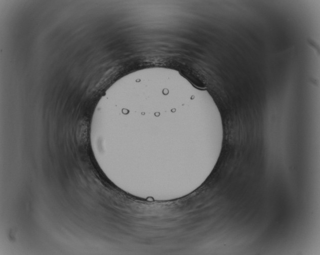 X0000100500036200807031951