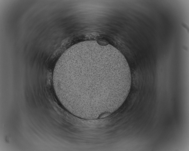 X0000100500038200807031951