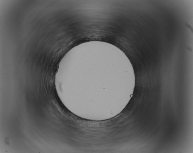 X0000100500040200807031951