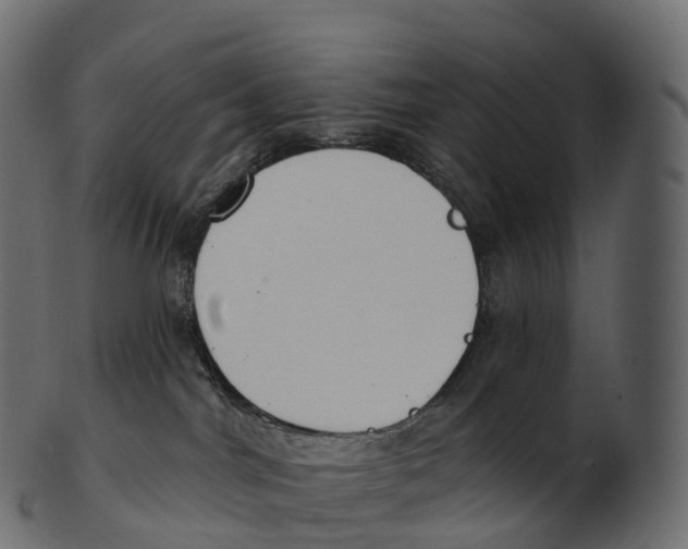 X0000100500044200807031951