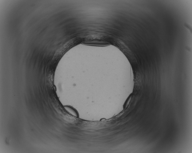 X0000100500045200807031951