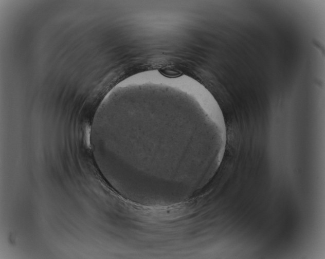 X0000100500046200807031951