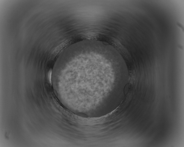 X0000100500047200807031950