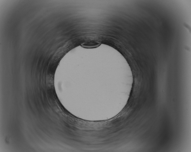 X0000100500048200807031950