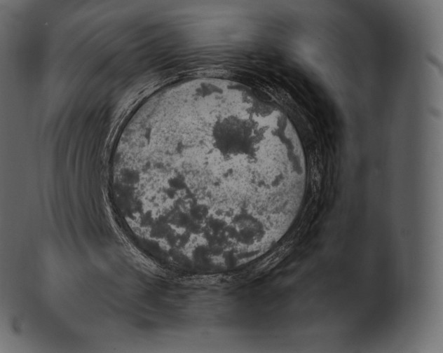 X0000100500049200807031950