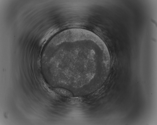 X0000100500050200807031950