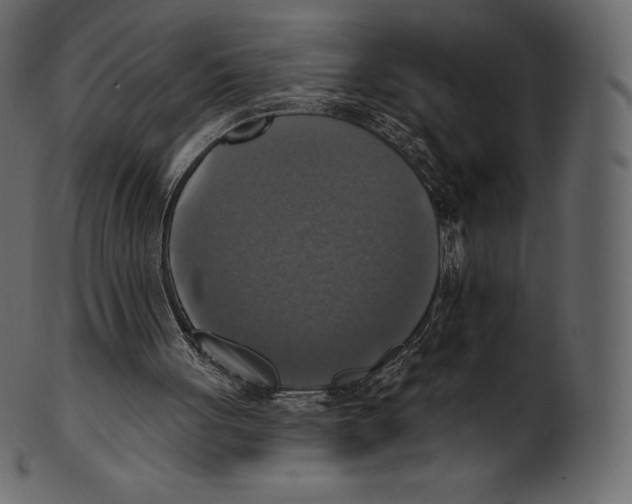 X0000100500051200807031950