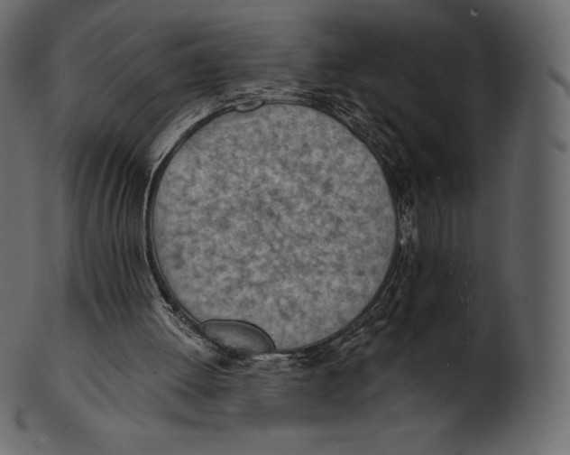 X0000100500052200807031950