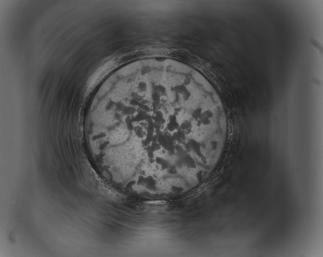 X0000100500053200807031950