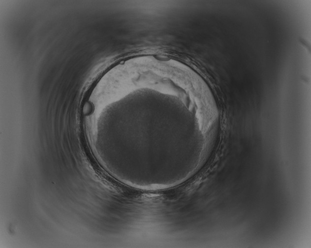 X0000100500055200807031950