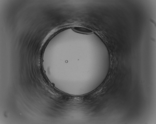 X0000100500056200807031950