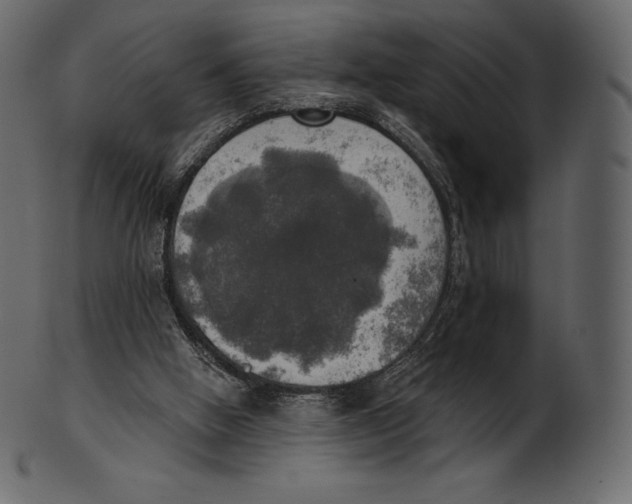 X0000100500058200807031950