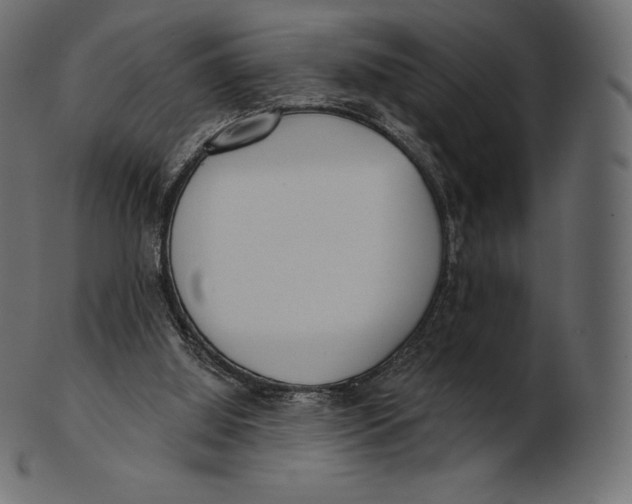 X0000100500060200807031950