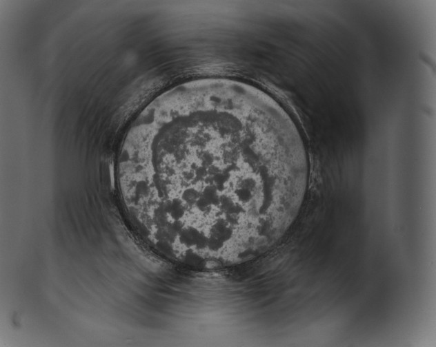 X0000100500061200807031950