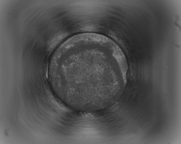 X0000100500062200807031950