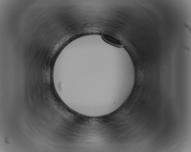 X0000100500064200807031950