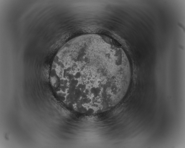 X0000100500065200807031950