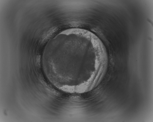 X0000100500066200807031950