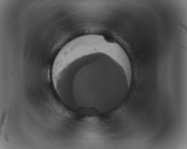 X0000100500067200807031950