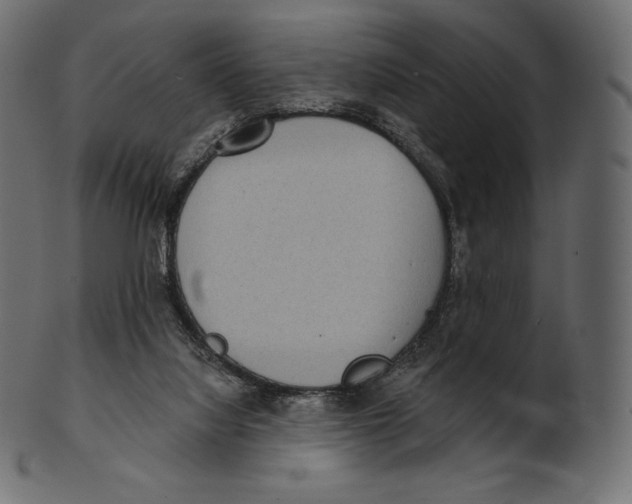 X0000100500068200807031950