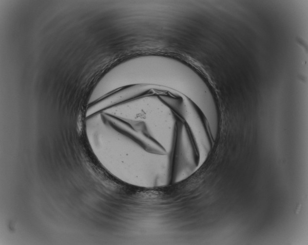 X0000100500069200807031950