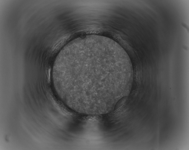 X0000100500070200807031950