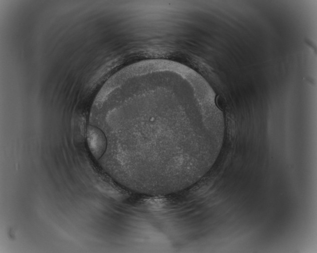 X0000100500071200807031950