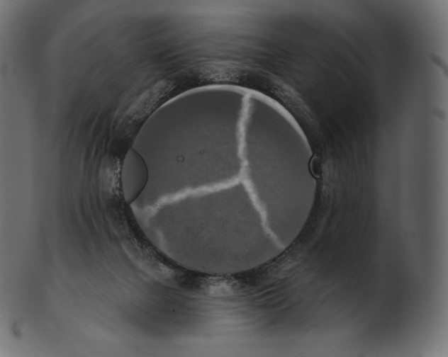 X0000100500073200807031950