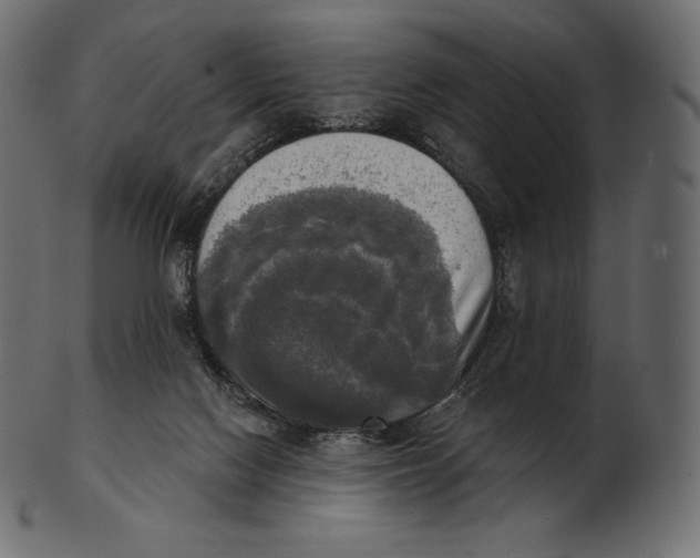 X0000100500074200807031950