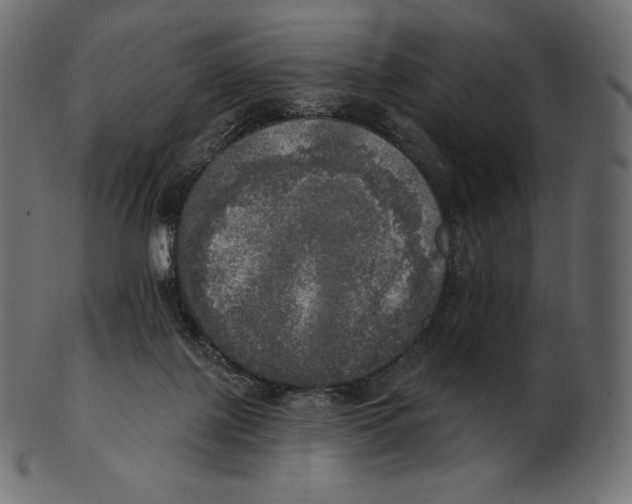 X0000100500075200807031950