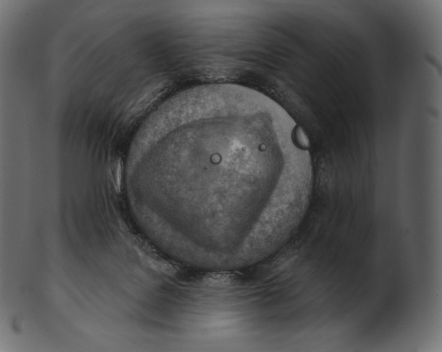 X0000100500076200807031950