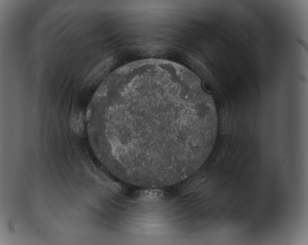 X0000100500077200807031950